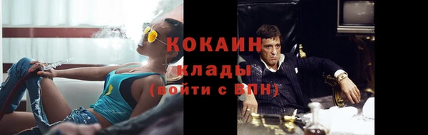 дмт Кинешма