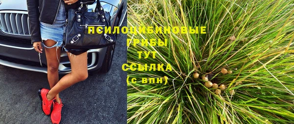 соль ск Касимов