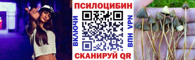 Купить  Бронницы  Галлюциногенные грибы Psilocybine cubensis 